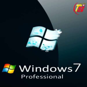 Clave Windows 7 professional