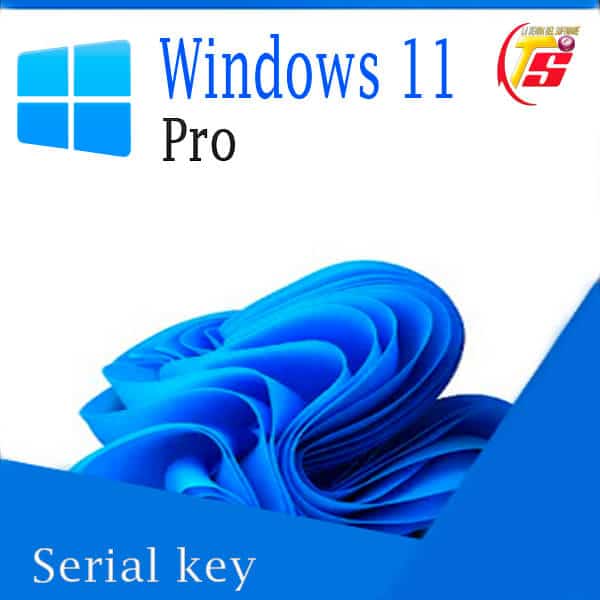 windows 11 serial key