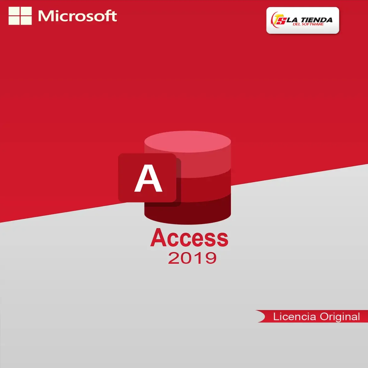 licencia Access 2019