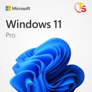 Windows 11 serial key